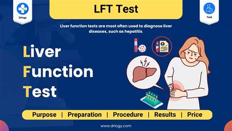 liver soft tissue test|liver function test means.